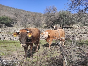 Οι πίνακες με τις εντάξεις φυσικών και νομικών προσώπων στο ΠΑΑ 2014-2020