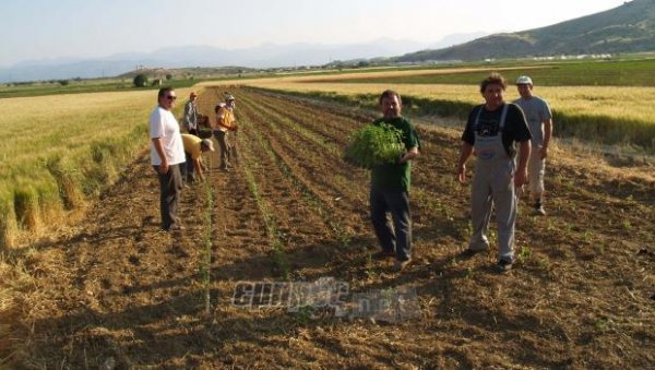 Μάχη για τη διαχείριση του ΟΣΔΕ