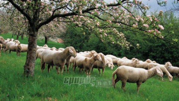 Από Αύγουστο και βλέπουμε η Εξισωτική