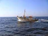 Ξαναμετρούν επαγγελματίες και ερασιτέχνες ψαράδες