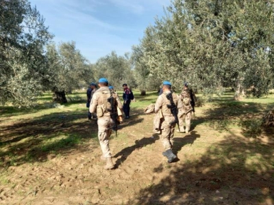 Απανωτές κλεψιές ελαιόκαρπου στο Αδραμύτι