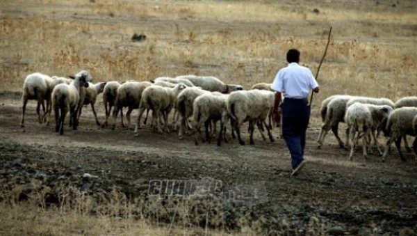 Θεσσαλονίκη: Το τελωνείο των Ευζώνων απέκλεισαν κτηνοτρόφοι κι αγρότες