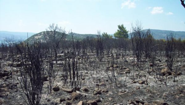 Σε ύφεση η πυρκαγιά στην Χίο