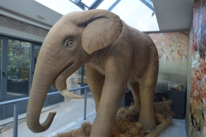 Δεινοθήρια και Σεκόιες από το Απολιθωμένο Δάσος Λέσβου: Δείκτες Κλιματικών Αλλαγών στο Αιγαίο