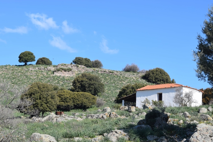 «Αναζητώντας» την Αρχαία Αρίσβη