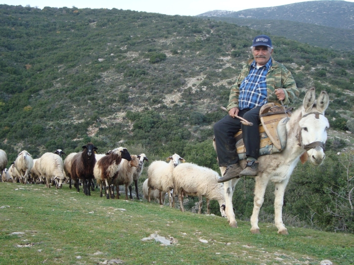 12 μέτρα για τη στήριξη της αγροτικής παραγωγής