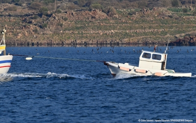 Συμμαχία ψαράδων &amp; ερευνητών στον Κόλπο Καλλονής για τη μείωση της τυχαίας παγίδευσης θαλασσοπουλιών