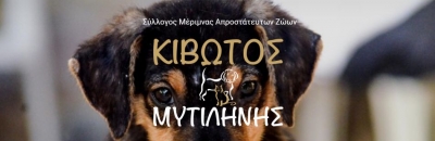 Ανοιχτή επιστολή προς τους νεοεκλεγέντες Δημάρχους Μυτιλήνης και Δυτικής Λέσβου