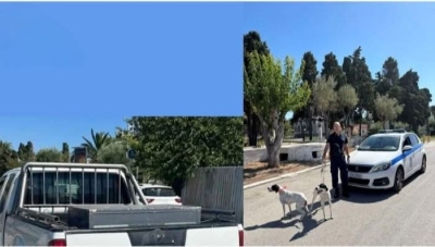 Αθωώθηκε από το Μονομελές Πλημμελειοδικείο Μυτιλήνης ο 31χρονος κυνηγός που συνελήφθη στην Λήμνο