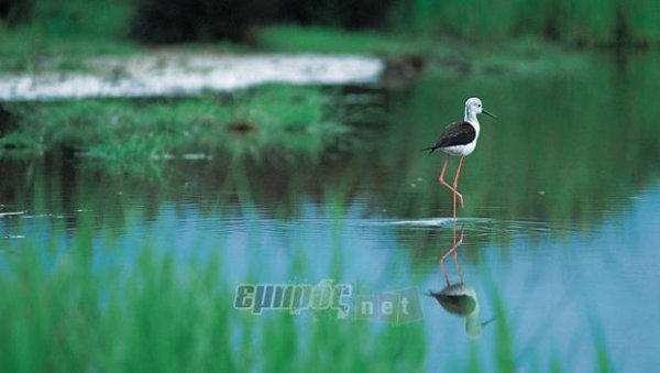 «Να υπάρξει πλαίσιο και για τους μεγάλους»
