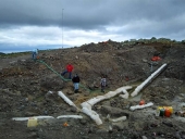 Το Μουσείο Απολιθωμένου Δάσους ...θεματοφύλακας της γεωλογικής κληρονομιάς μας