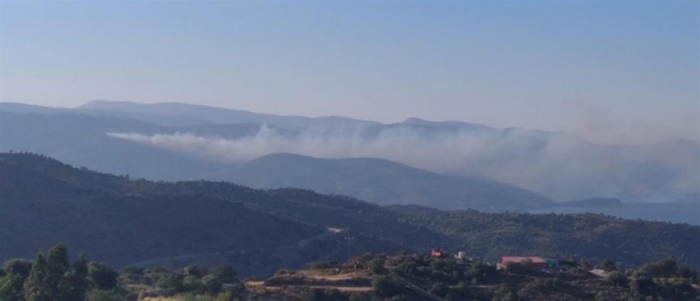 Φωτιά στην Κατάβαση, Χίου [Vid]