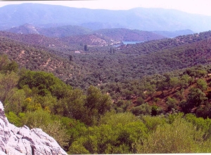 Εργασίες βατότητας για τις ανάγκες πυροπροστασίας