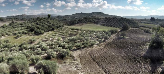 Παράταση για αντιρρήσεις σε 13 δασικούς χάρτες