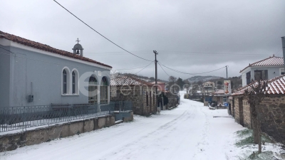 Φίλια, 6 Φεβρουαρίου 2023 Ι 09:41πμ