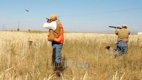 Παρεμβάσεις για ενίσχυση των βιοτόπων