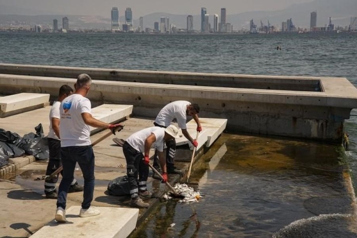 Σμύρνη εμφανίζονται πάλι νεκρά ψάρια