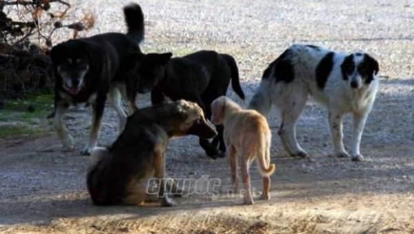 «Να αναλάβει τις ευθύνες του»