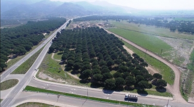 Εμπορική Ζώνη Τροφίμων δημιουργείται στο Αϊβαλί