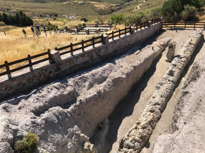 Συναντώντας τον ψηλότερο ιστάμενο απολιθωμένο κορμό του κόσμου