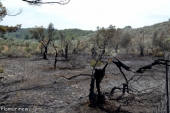 ΕΜΠΡΗΣΜΟΣ! - Η χωρίς περιστροφές πρώτη εκτίμηση