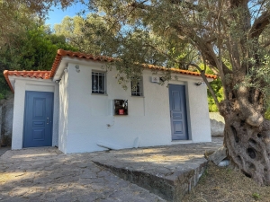 H αποθήκη του Μουσείου Θεοφίλου 
