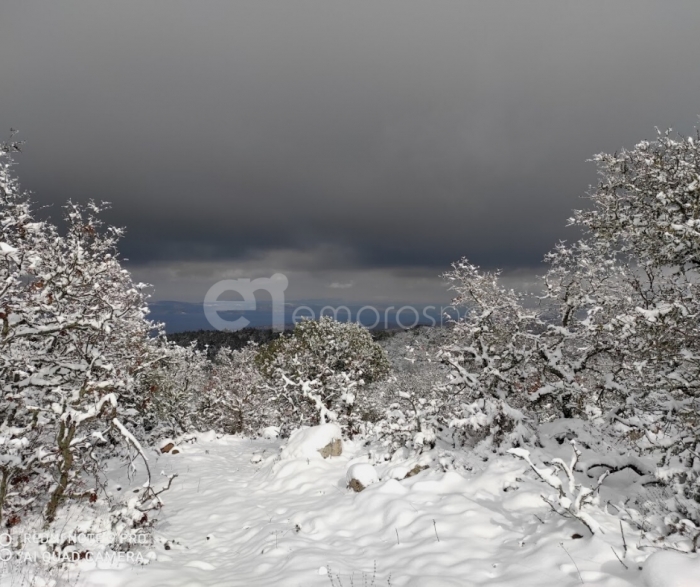 Περιοχή ΚΑΜΑΤΣΑ Φίλιας