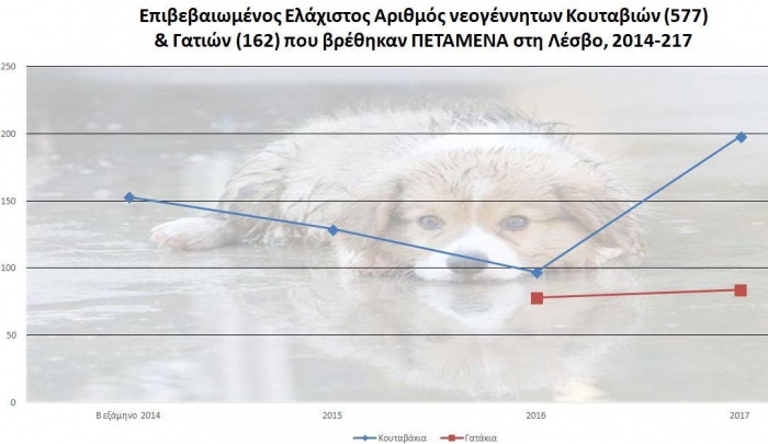 Αρνητικό ρεκόρ εγκατάλειψης ζώων το 2017