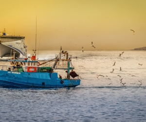 Στενή συνεργασία του Υπουργείου Ναυτιλίας και Νησιωτικής Πολιτικής με την Ευρωπαϊκή Υπηρεσία Ελέγχου Αλιείας