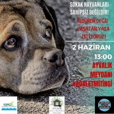 Διαμαρτυρίες και στο Αϊβαλί ενάντια στο Νόμο για τα αδέσποτα ζώα
