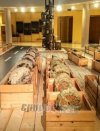 Στη Μυτιλήνη η έκθεση  «Το Δάσος κάτω από το δρόμο»
