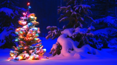 Η φωταγώγηση του Χριστουγεννιάτικου Δέντρου στη Μυτιλήνη