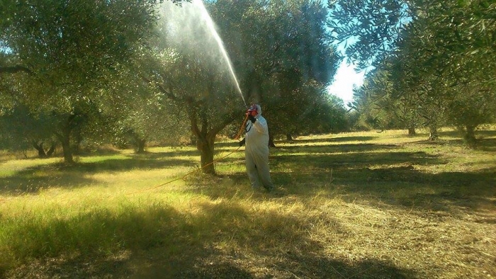 Η Περιφέρεια μετέφερε σε άλλο πόστο την αρμόδια, για τις προσλήψεις τομεαρχών δακοκτονίας, υπάλληλο χωρίς να την αντικαταστήσει