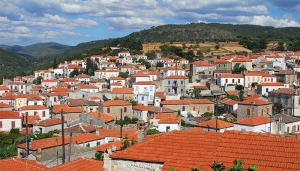 1.000€ για τον καθαρισμό γηπέδου πρώην Δημοτικού Θερμοκηπίου Πολιχνίτου