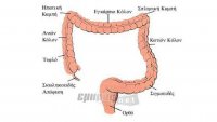 Προσυμπτωματικός (προληπτικός) έλεγχος του γενικού πληθυσμού για καρκίνο παχέος εντέρου