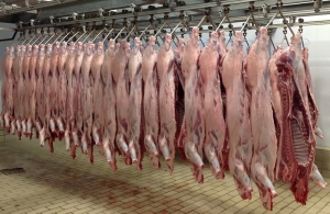 Αναγνωστής: «Να επιχορηγήσει η Περιφερειακή Αρχή τα δημοτικά σφαγεία για να επαναλειτουργήσουν» [Vid]