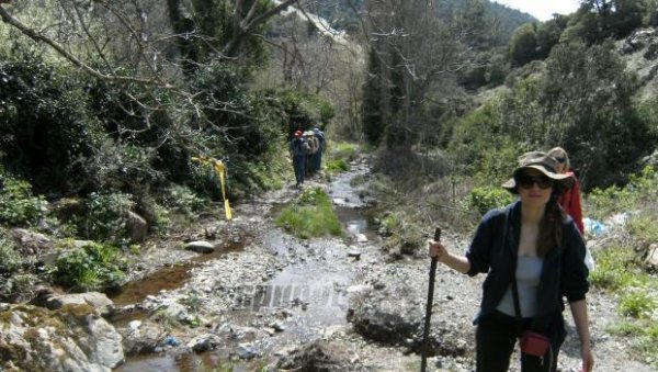 Ένα εκατομμύριο για το δάσος Αμπελικού