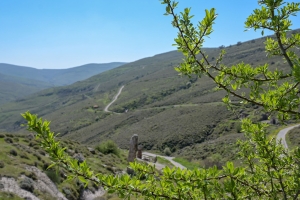 Άνοιξη στη Δυτική Λέσβο