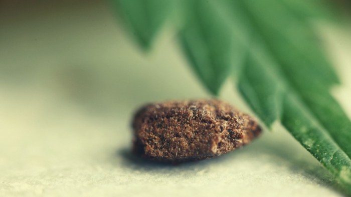 Επιχείρησαν να εισάγουν σε Αστυνομική Υπηρεσία της Λέσβου χασίς για κρατούμενο...