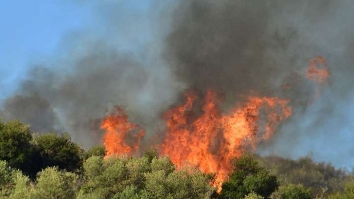 Συλλήψεις για εμπρησμούς από αμέλεια σε γεωργικές εκτάσεις σε Μανταμάδο και Άγιο Φωκά