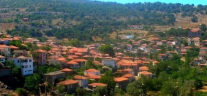 Νέο ΔΣ στον «Δρυ» Σκαλοχωρίου