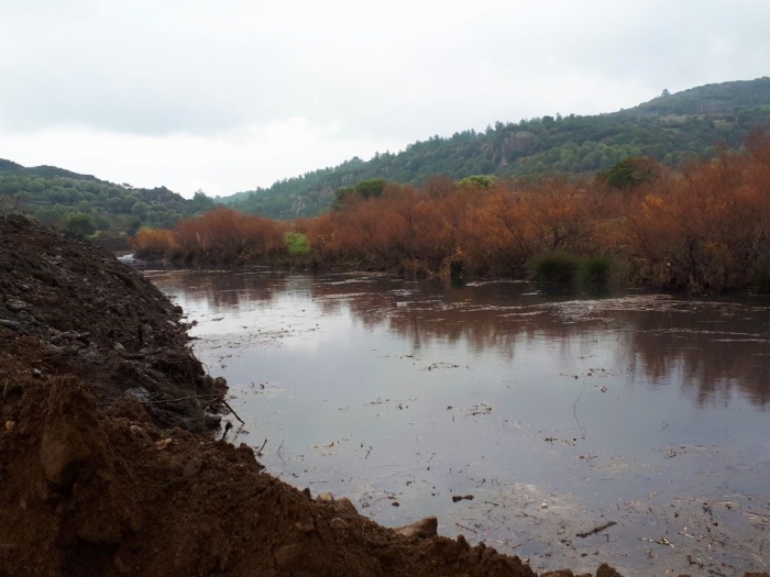 Ο Αλμυροπόταμος στην περιοχή της Βρίσας που εκβάλει στην παραλία των Βατερών είχε να καθαριστεί μερικές δεκαετίες και η τωρινή παρέμβαση της Περιφέρειας επιχειρεί να προλάβει δυσάρεστες καταστάσεις, όπως άλλωστε συνέβη και ένεκα των περσινών παρεμβάσεων στην περιοχή του Μεσοτόπου μετά τα πλημμυρικά φαινόμενα που είχαν συμβεί στη περιοχή και έτσι οι προχθεσινές βροχοπτώσεις δεν προκάλεσαν εκτεταμένες καταστροφές.