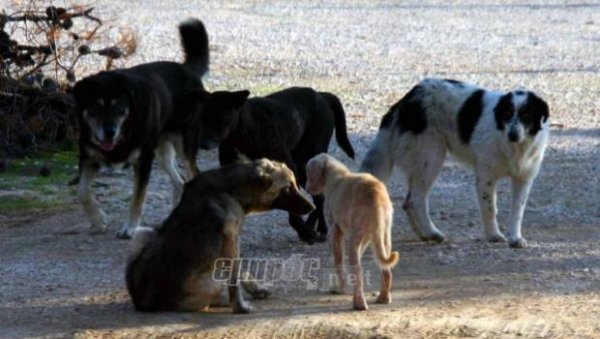 Πού μπορείτε να καταγγείλετε περιστατικό 