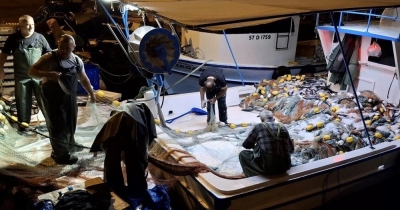 Εμφανίστηκαν οι πρώτες παλαμίδες στη Μαύρη Θάλασσα