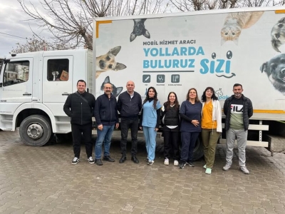 Με φροντίδα του Δήμου στειρώνονται οι γάτες στο Δικελί