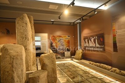 Εκδήλωση Κοπής Βασιλόπιτας &amp; Απολογισμού Δράσεων στο Μουσείο Φυσικής Ιστορίας Απολιθωμένου Δάσους Λέσβου