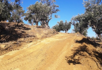 Αγροτική οδοποιία σε Ευεργέτουλα