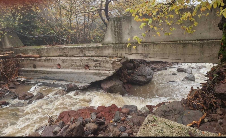 Φωτογραφία από Πελόπη 