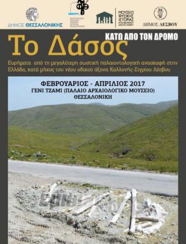 Στη Θεσσαλονίκη από την Τρίτη
