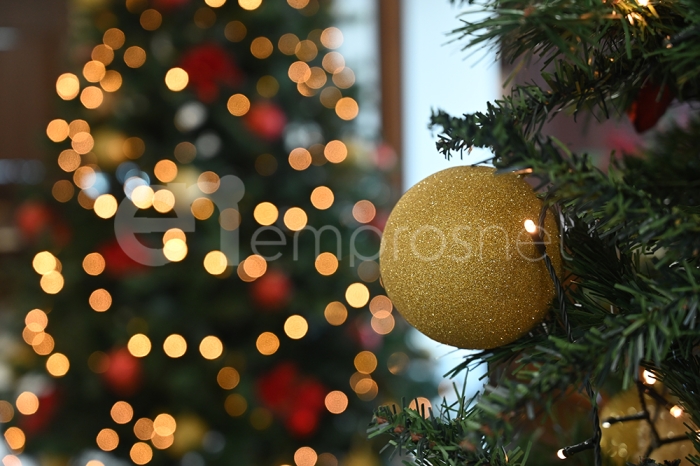 Στολισμός Χριστουγεννιάτικου Δέντρου στην Φίλια